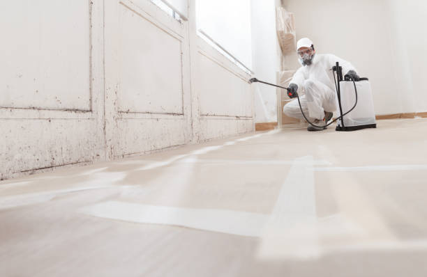 24/7 Emergency Attic Mold Remediation experts in Frederick, CO